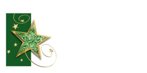 Weihnachts-Schmuckkuvert »Grüner Stern« ohne Fenster, 220x110mm