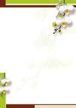 PC-Brief Exclusiv - Weiße Orchideen Lackfolienprägung - neutral