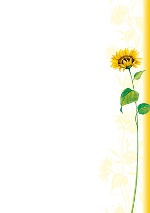 PC-Brief Brillant - gemalte Sonnenblume - neutral