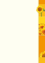 PC-Brief Brillant - Sonnenblumen - neutral