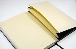 Notizbuch »Professional-Line«, doppelte Dokumententasche am Buchende
