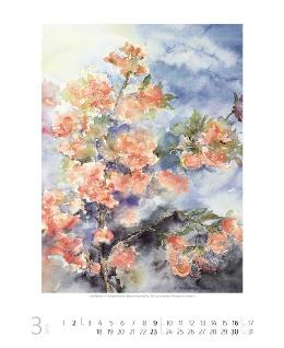 Wandkalender »Blumenaquarelle«, 460x550 mm, März
