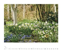 Bildkalender »Gartenkunst«, 550x460 mm, Februar