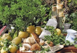 Bildkalender »Mein Kräutergarten«, 420x290 mm, Januar