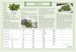 Bildkalender »Mein Kräutergarten«, 420x290 mm, Januar-Kalenderblatt