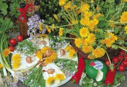 Bildkalender »Mein Kräutergarten«, 420x290 mm, September