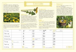 Bildkalender »Mein Kräutergarten«, 420x290 mm, Mai-Kalenderblatt