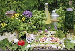 Bildkalender »Mein Kräutergarten«, 420x290 mm, November