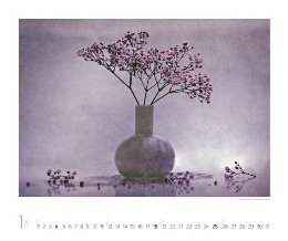 Bildkalender »Silent Moments«, 550x460 mm, Januar