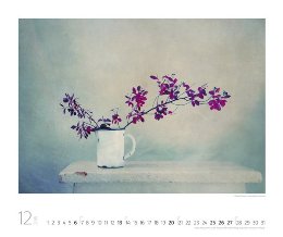 Bildkalender »Silent Moments«, 550x460 mm, Dezember