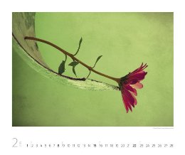 Bildkalender »Silent Moments«, 550x460 mm, Februar