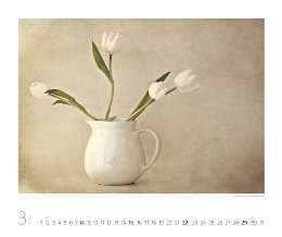 Bildkalender »Silent Moments«, 550x460 mm, März