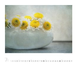 Bildkalender »Silent Moments«, 550x460 mm, Juli