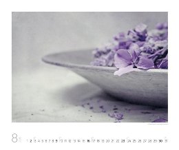 Bildkalender »Silent Moments«, 550x460 mm, August