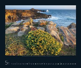 Bildkalender »Faszination Küste«, 550x460 mm, Mai