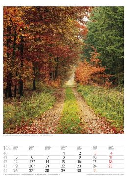Bildkalender »Geschützte Naturlandschaften«, 300x420 mm, Oktober
