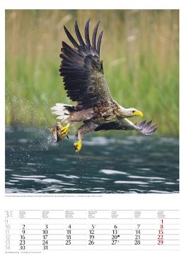 Bildkalender »Geschützte Naturlandschaften«, 300x420 mm, März