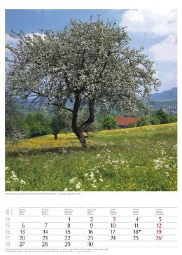 Bildkalender »Geschützte Naturlandschaften«, 300x420 mm, April