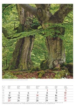 Bildkalender »Geschützte Naturlandschaften«, 300x420 mm, Mai