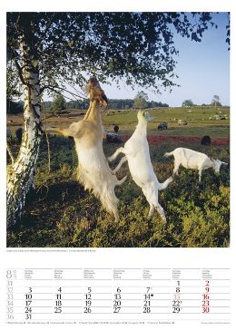 Bildkalender »Geschützte Naturlandschaften«, 300x420 mm, August
