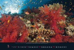 Bildkalender »Waterworld«, 580x390 mm, Januar