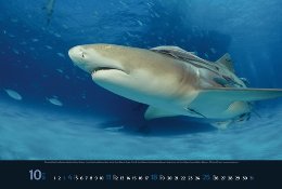 Bildkalender »Waterworld«, 580x390 mm, Oktober