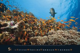 Bildkalender »Waterworld«, 580x390 mm, Mai