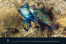 Bildkalender »Waterworld«, 580x390 mm, Juli