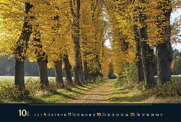 Bildkalender »Taumwege«, 580x390 mm, Oktober