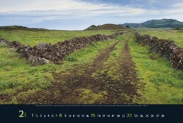 Bildkalender »Taumwege«, 580x390 mm, Februar