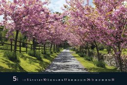 Bildkalender »Taumwege«, 580x390 mm, Mai