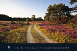 Bildkalender »Taumwege«, 580x390 mm, August