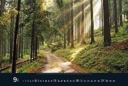 Bildkalender »Taumwege«, 580x390 mm, September