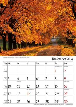 Bildkalender »Taumwege«, 300x420 mm, November