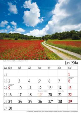 Bildkalender »Taumwege«, 300x420 mm, Juni