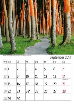 Bildkalender »Taumwege«, 300x420 mm, September