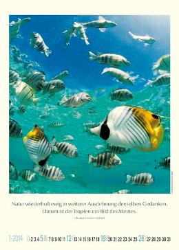 Bildkalender »Unsere wundervolle Erde«, 300x420 mm, Januar