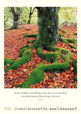 Bildkalender »Unsere wundervolle Erde«, 300x420 mm, November