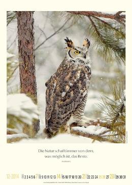 Bildkalender »Unsere wundervolle Erde«, 300x420 mm, Dezember