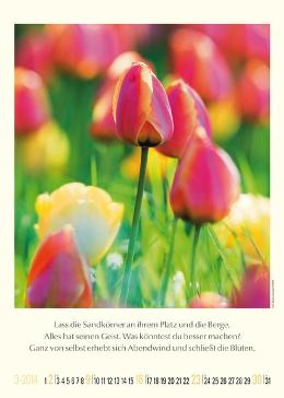 Bildkalender »Unsere wundervolle Erde«, 300x420 mm, März