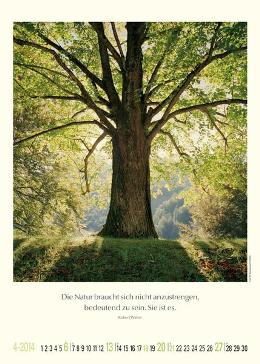 Bildkalender »Unsere wundervolle Erde«, 300x420 mm, April