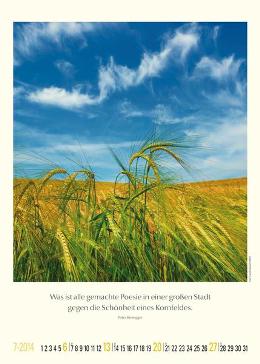 Bildkalender »Unsere wundervolle Erde«, 300x420 mm, Juli