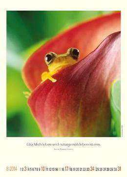 Bildkalender »Unsere wundervolle Erde«, 300x420 mm, August