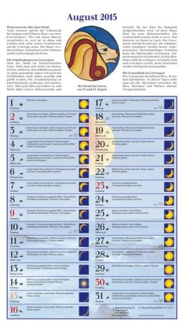 Bildkalender »Mit dem Mond im Rhythmus«, 270x480 mm, August