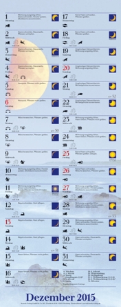 Streifenkalender »Mit dem Mond im Rhythmus«, 190x480 mm, Dezember