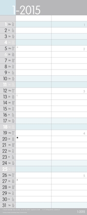 Singleplaner »MyTimer«, 190x470 mm, Januar