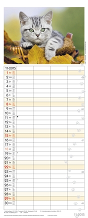 Familienplaner »Auf Samtpfoten durch's Jahr«, 190x470 mm, November