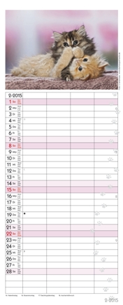 Familienplaner »Auf Samtpfoten durch's Jahr«, 190x470 mm, Februar