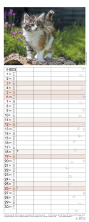 Familienplaner »Auf Samtpfoten durch's Jahr«, 190x470 mm, April