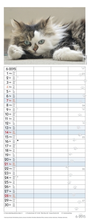 Familienplaner »Auf Samtpfoten durch's Jahr«, 190x470 mm, Juni